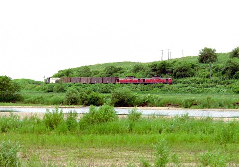 北海道 DD51 貨物列車