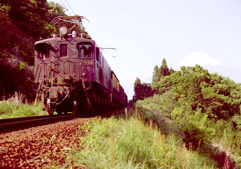 身延線　貨物列車　EF15